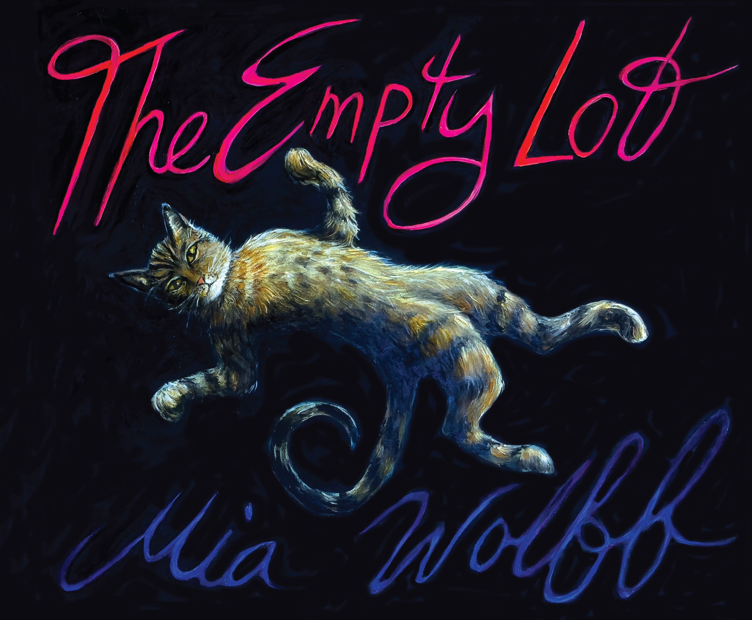 Book cover depicting an illustration of a cat, suspended in a black background, framed by title and author’s name in pink and blue in cursive script