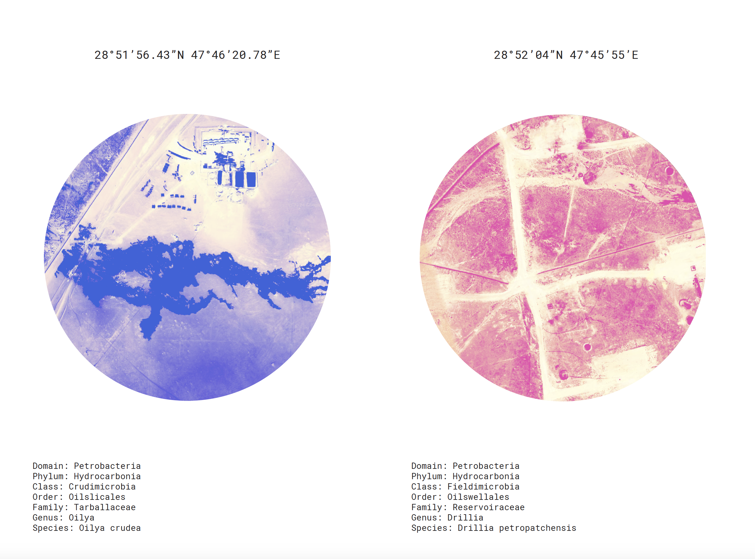 Two uniform circles contain zoomed-out views of earth, showing petroleum fields at a distance, rendered in monochrome blue and pink, respectively. An invented taxonomy appears below the images