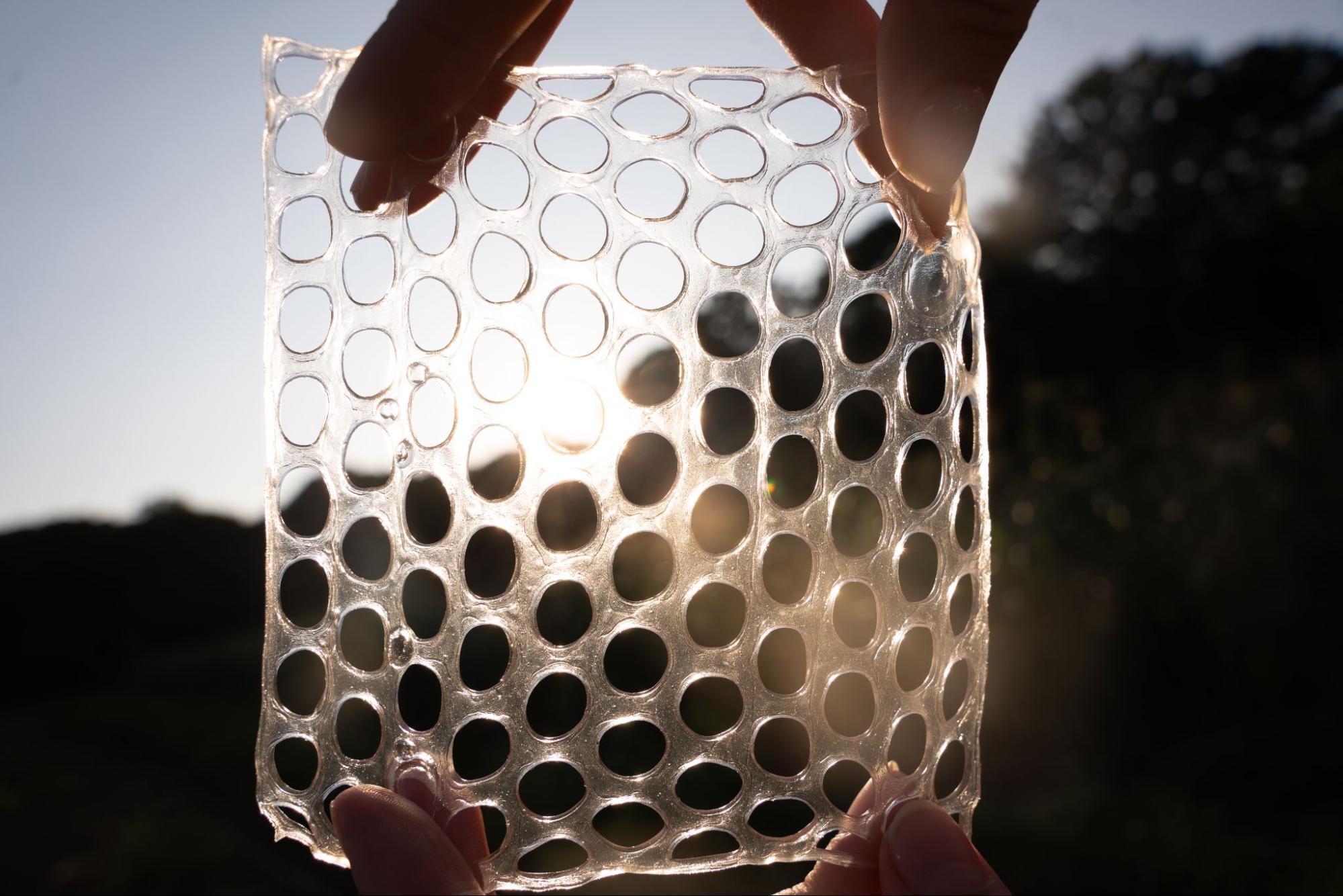 Close-up of a translucent bio-material sample with circular cutouts, held up to the sunlight by two hands. The light filters through the material, highlighting its flexible, perforated structure, which may be part of a sustainable design or biomaterial research project.