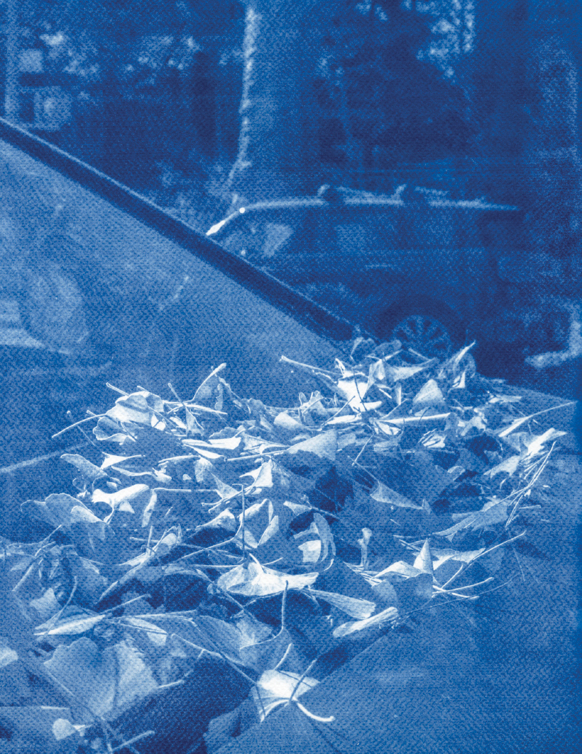 A close-up view of a pile of leaves resting on a car's windshield, with a blue monochromatic filter applied, creating a dreamy and abstract effect. In the background, a blurred vehicle and trees are visible, enhancing the tranquil atmosphere of the scene.
