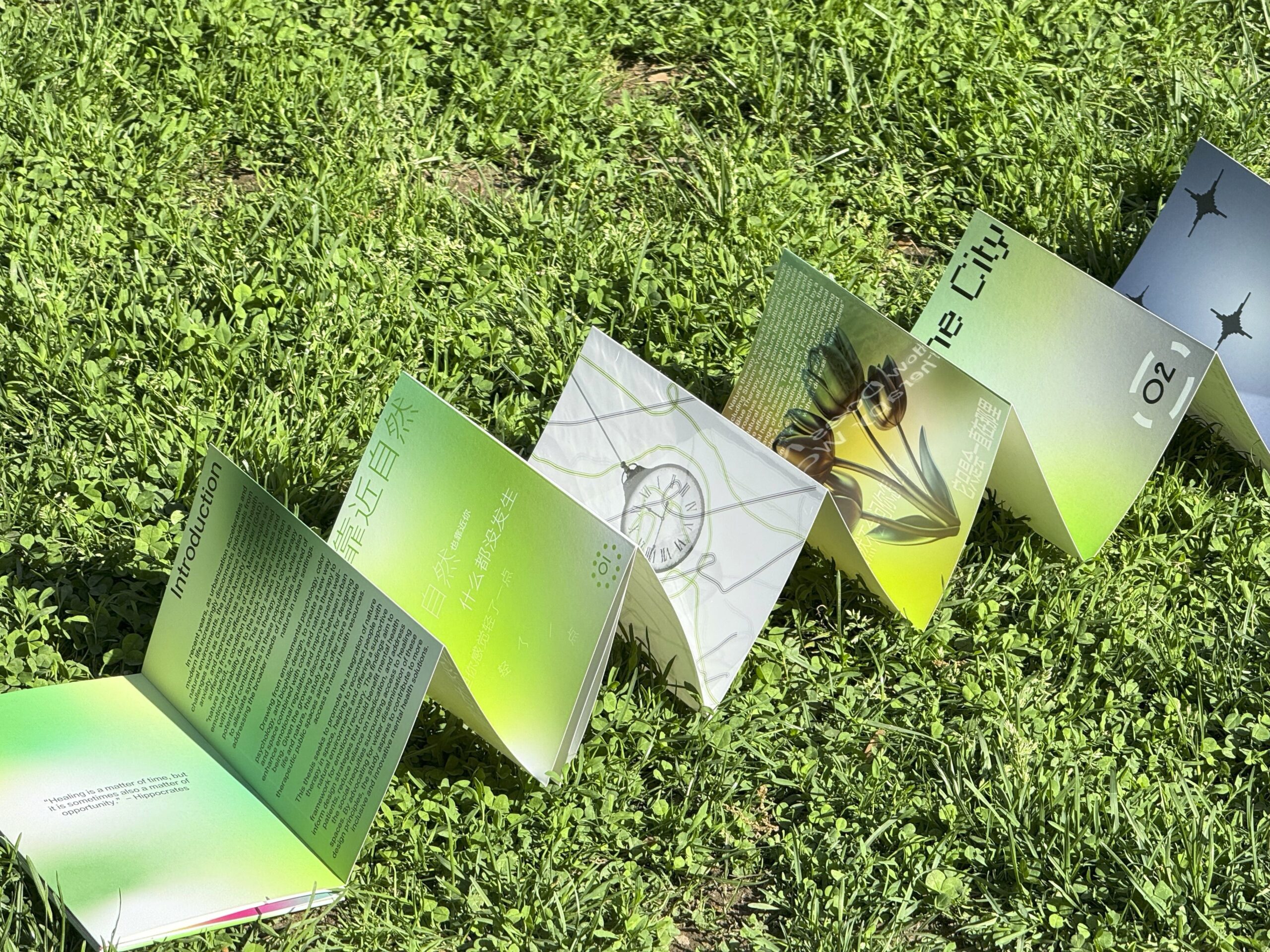 Accordion-style booklet with gradient green pages and bilingual text in English and Chinese, displayed outdoors on grass in bright sunlight.