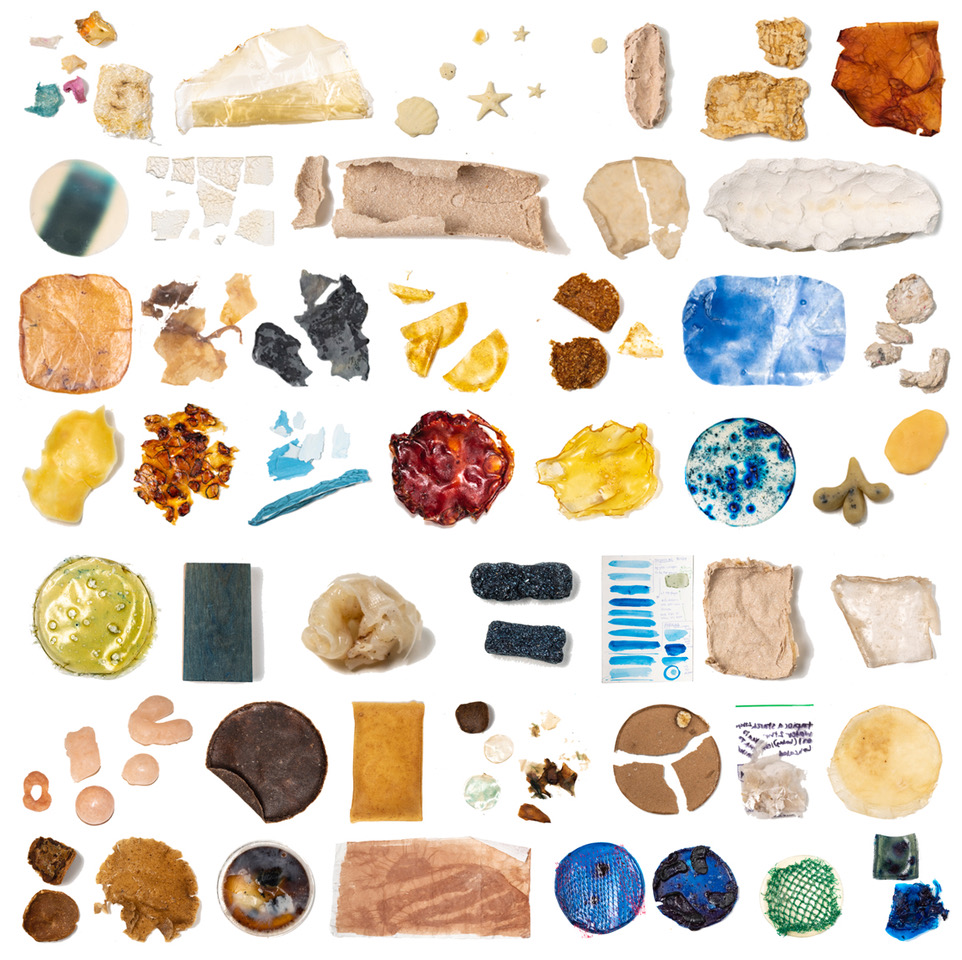 Biomaterial Test Composite, by artist Sasha Fishman