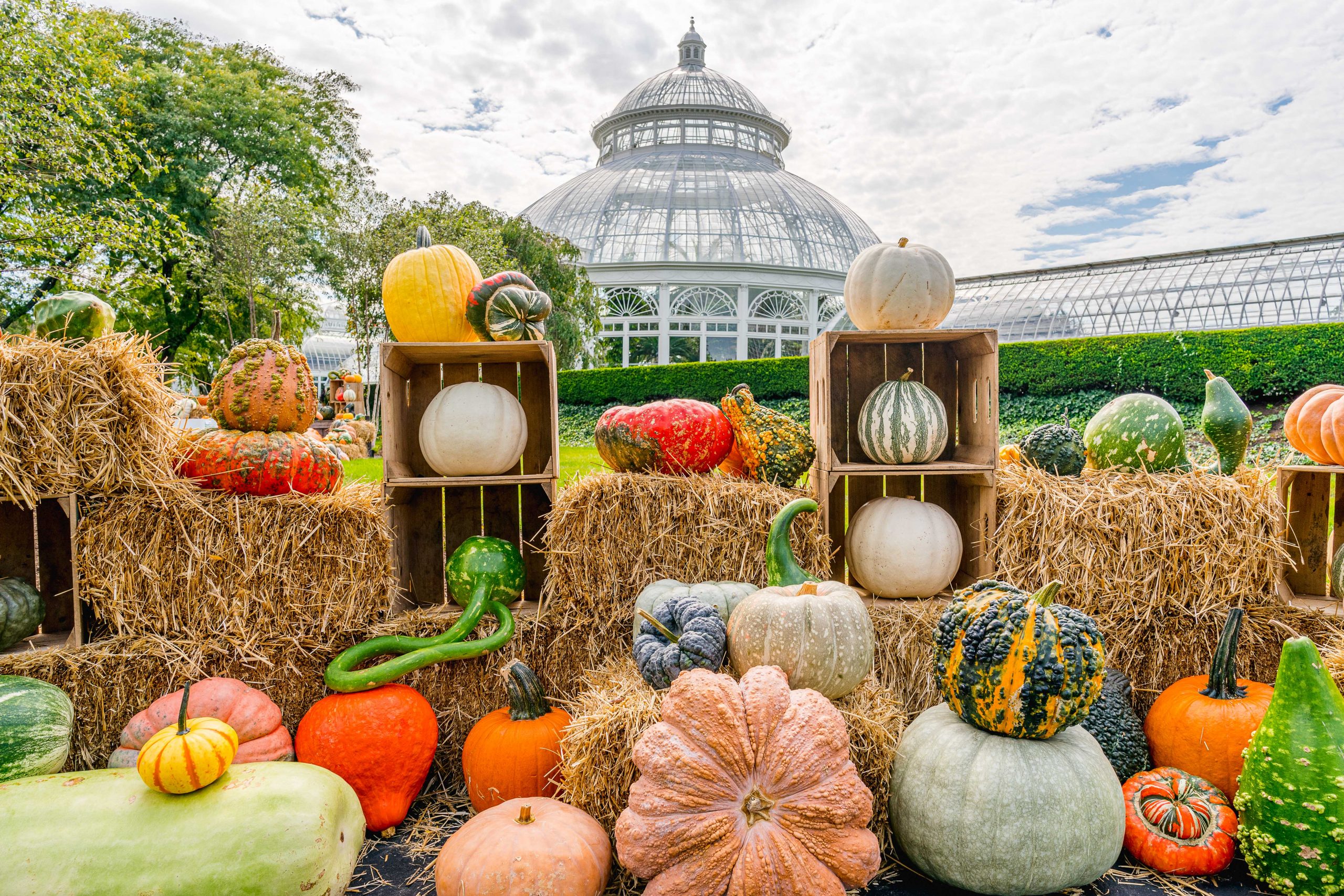 An array of colorful pumpkins and other gourds of different shapes and sizes adorns an outdoor area in front of an ornate glass conservatory