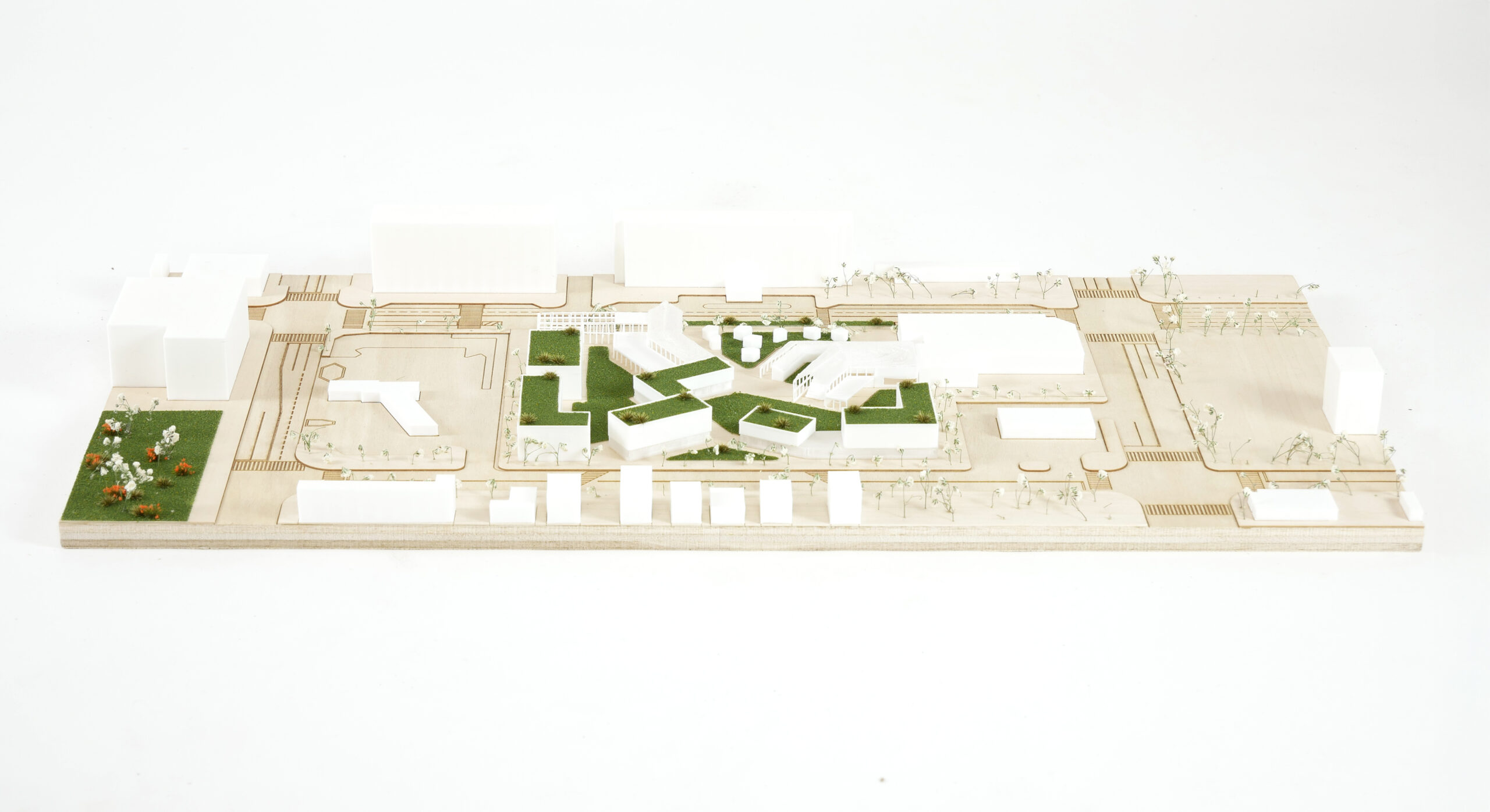 A model of an urban plan displays a layout of green spaces and buildings. The design features several white structures of varying sizes, surrounded by grass and small decorative trees. Pathways and roads are shown in a wooden base, with clusters of miniature plants and flowers adding detail. The overall composition highlights an organized relationship between nature and architecture.
