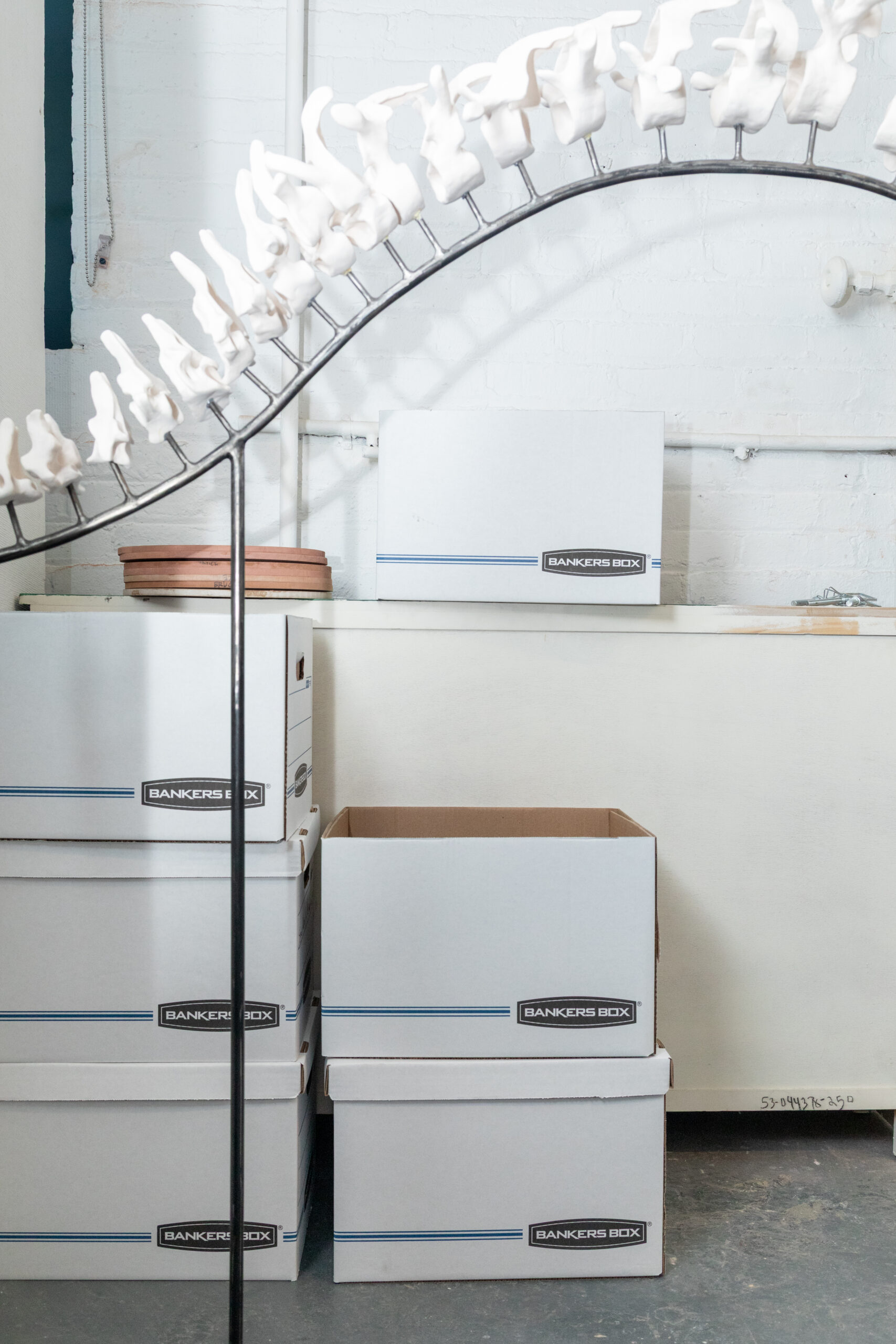 A display featuring a curved metal rack holding small, white, sculpture-like figures resembling vertebrae. In the background, several white Banker’s boxes stacked neatly with a few cardboard boxes beneath them.