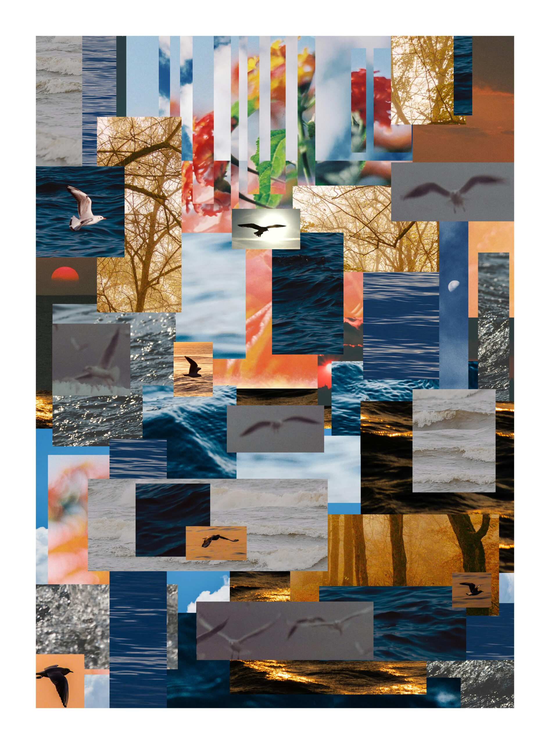 A dense collage composed of many rectangular photographic fragments arranged edge-to-edge. The images depict ocean waves, seagulls in flight, leafless winter trees, blurred flowers, and warm sunset skies. The individual tiles vary in size, orientation, and color temperature, creating a layered, rhythmic visual field. Cool blue water textures contrast with orange and golden light, while several partially transparent bird silhouettes appear blurred in motion. There is no central focal point; the composition emphasizes repetition, movement, and natural atmospheres through overlapping imagery.