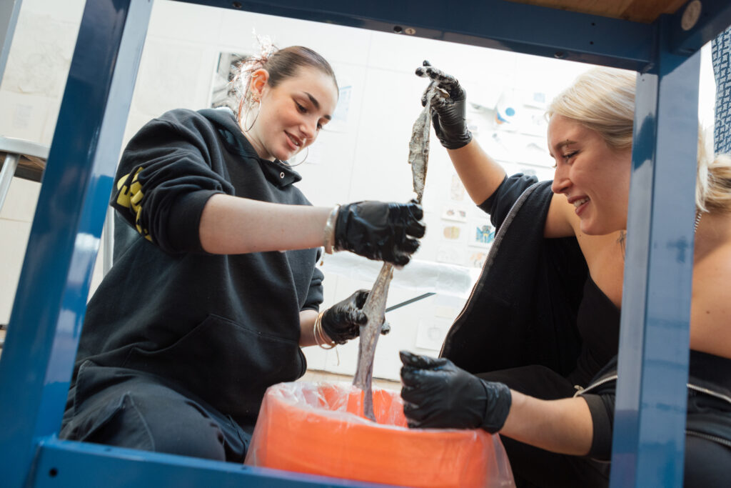 Two students lift a piece of fish skin from an orange bucket.
