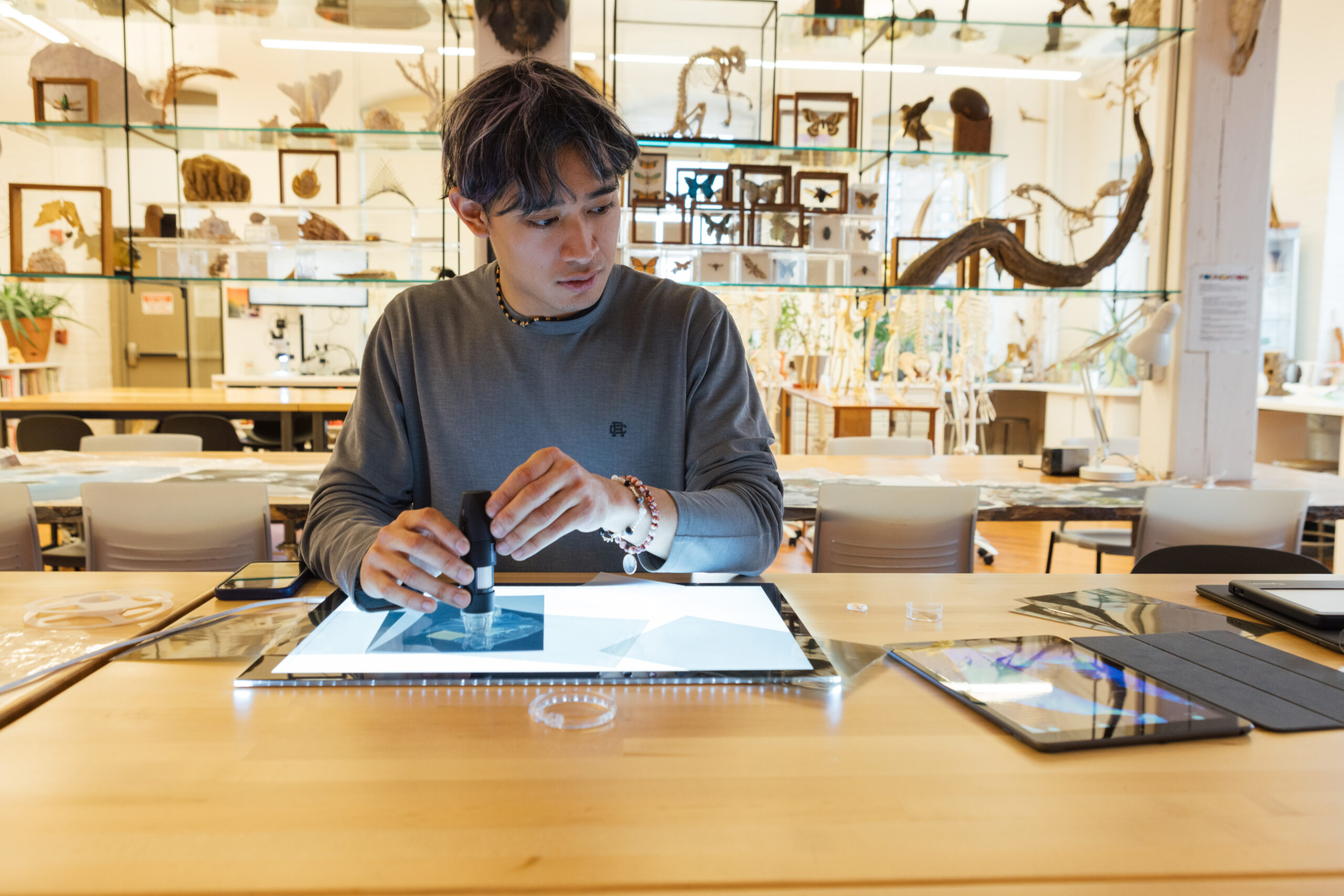 A young man with short, wavy hair is seated at a wooden table in a workspace filled with various natural specimens displayed on shelves behind him. He is focused on examining an image on a light pad using a handheld magnifier. Several tablets and tools are scattered across the table, contributing to the creative environment. The background includes elements like plant displays and skeleton models.