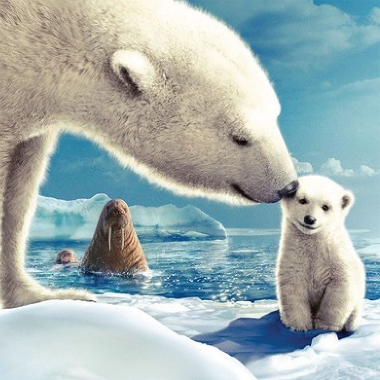 a big polar bear and smaller polar bear with a walrus in the ocean in the background