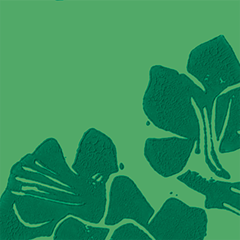 a green square with dark green graphic flowers