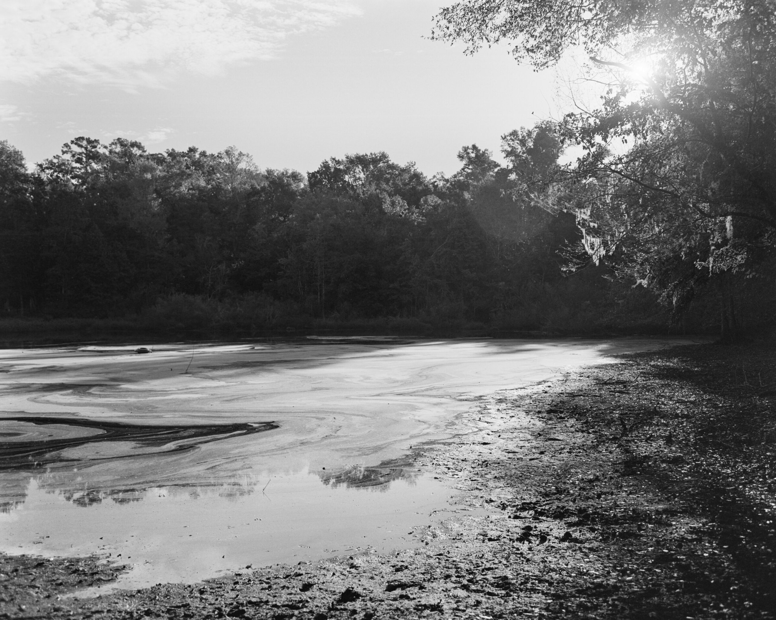 A serene black and white landscape featuring a still, muddy shoreline of a lake. The water reflects swirling patterns and captures the light of the sun set behind trees on the right. Lush greenery and trees line the opposite bank, creating a tranquil, natural atmosphere.