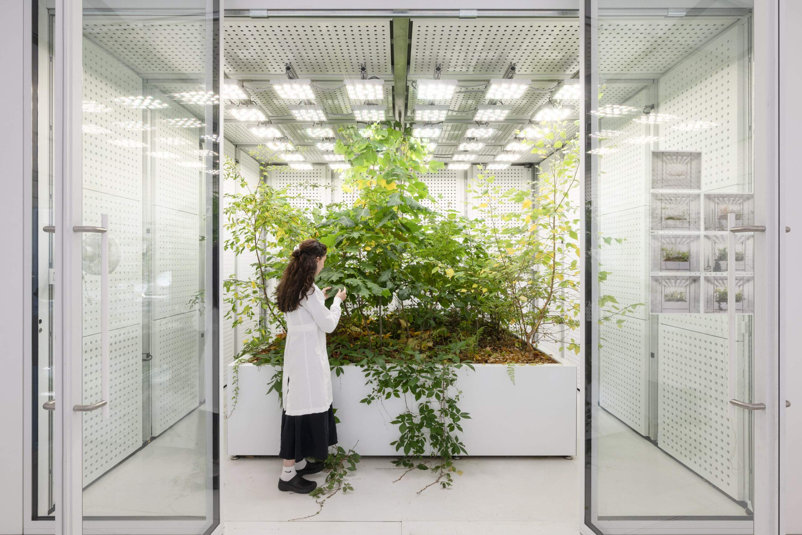 Martinez, wearing a white lab coat, is examining plants in a greenhouse-like lab environment filled with greenery.