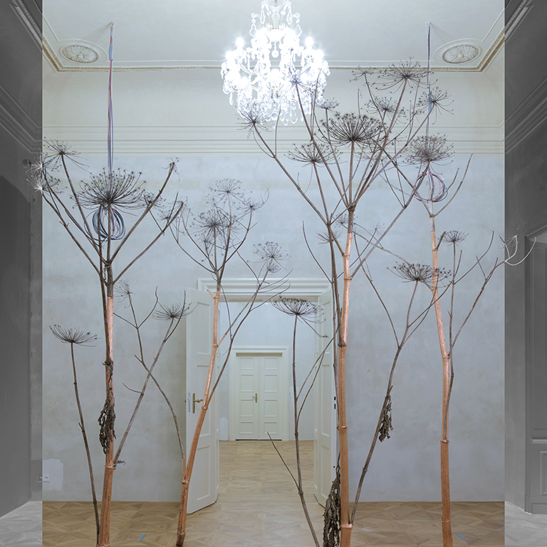 plant/trees like puff dandelions in a roman like mansion home in black and white and shades of grey