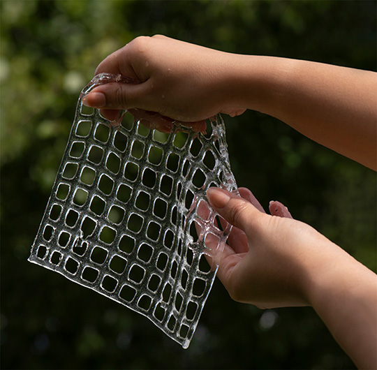 Two hands are holding a transparent, flexible sheet with a grid pattern of small squares. The background is blurred greenery, indicating an outdoor setting.