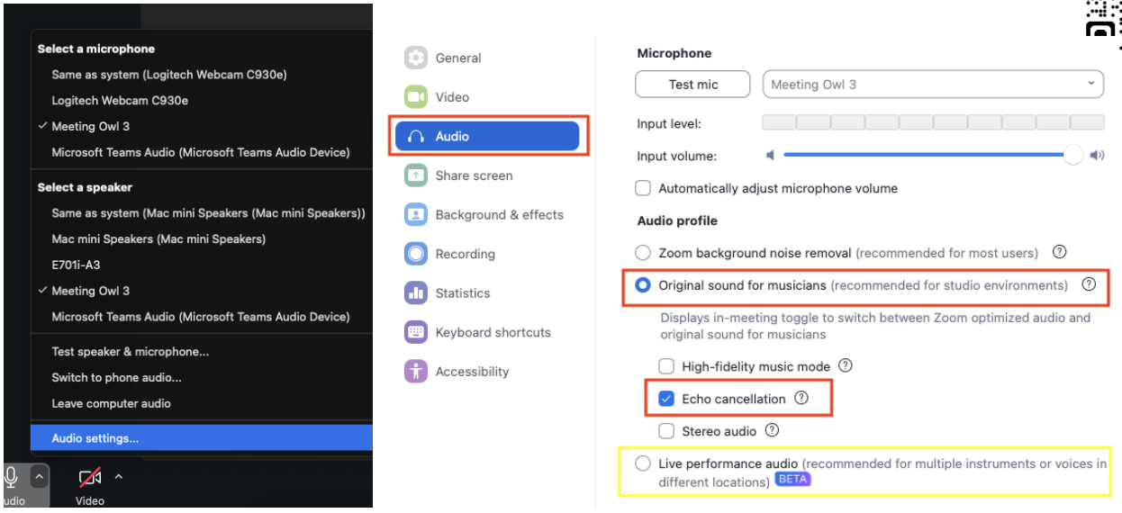 The image displays an audio settings interface for a video conferencing application. On the left, there are options for selecting a microphone and speaker, with devices listed, including "Meeting Owl 3." On the right side, audio profile settings show options such as "Zoom background noise removal," "Original sound for musicians," and "Echo cancellation" marked. Additional options include "High-fidelity music mode" and "Live performance audio" under beta. The layout features a clean and organized design with distinct sections.
