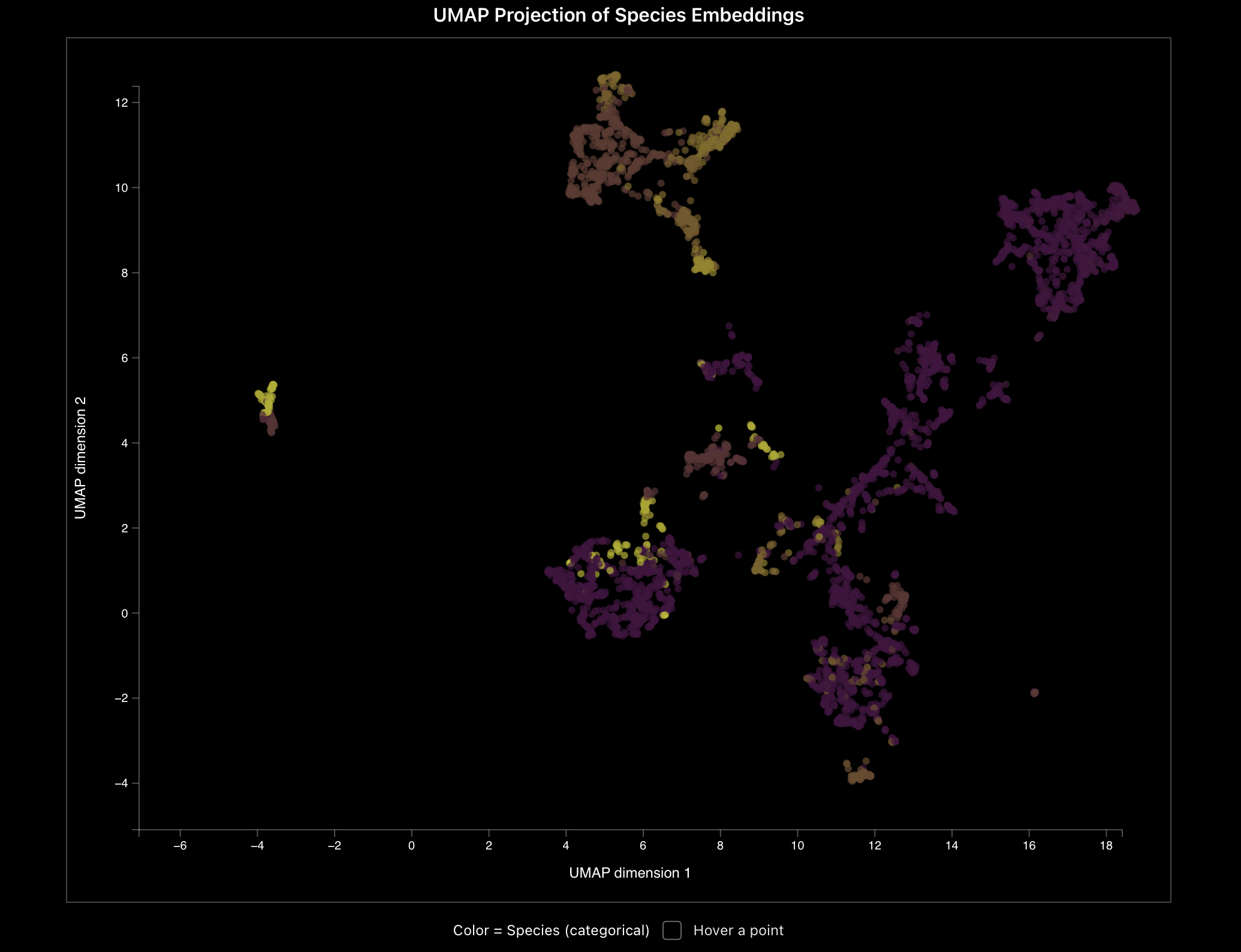 A UMAP projection visualizing species embeddings with a black background. Colored dots represent different species, with clusters appearing in shades of purple, brown, and yellow. The x-axis is labeled "UMAP dimension 1" and the y-axis "UMAP dimension 2," showcasing the distribution of the species in a two-dimensional space. Labels indicate that color corresponds to species categories.