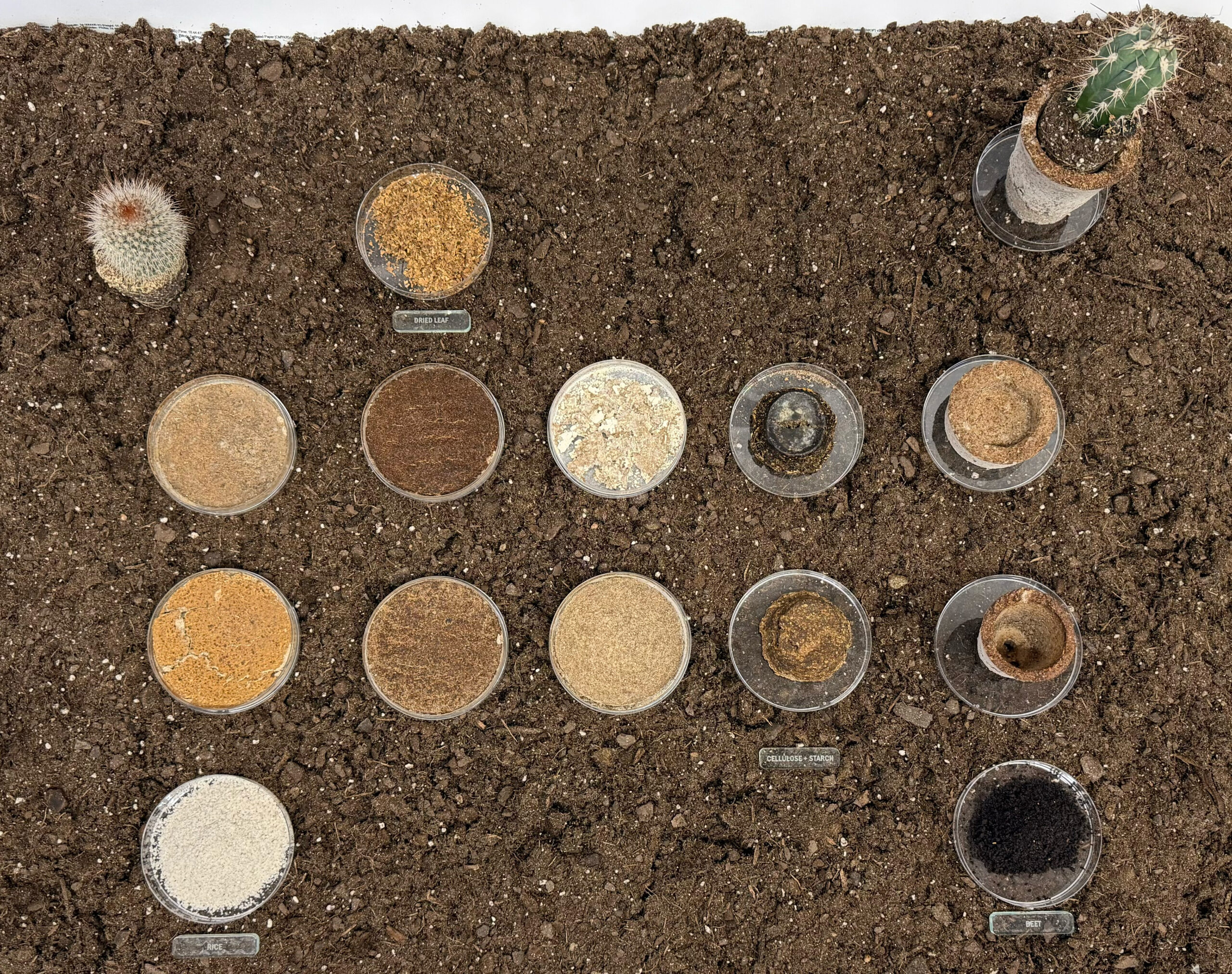 An arrangement of soil and various types of materials displayed in clear containers, all situated on brown dirt. In the upper left, a small cactus with a spiny texture is visible. The materials include different textures and colors, labeled with names like "feed lot" and "cellulose starch." The layout is organized in a grid pattern, with a mix of loose powders and granules.