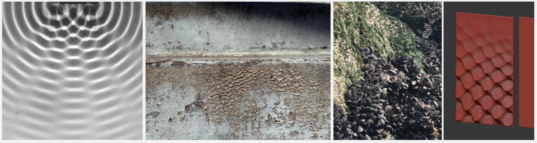 The image features four distinct textures: 1. A pattern of concentric waves in a gray gradient. 2. A close-up of a rough, weathered metallic surface with peeling paint. 3. A rocky surface covered with barnacles and green algae. 4. A smooth, red panel with a geometric, textured design resembling scales or waves.
