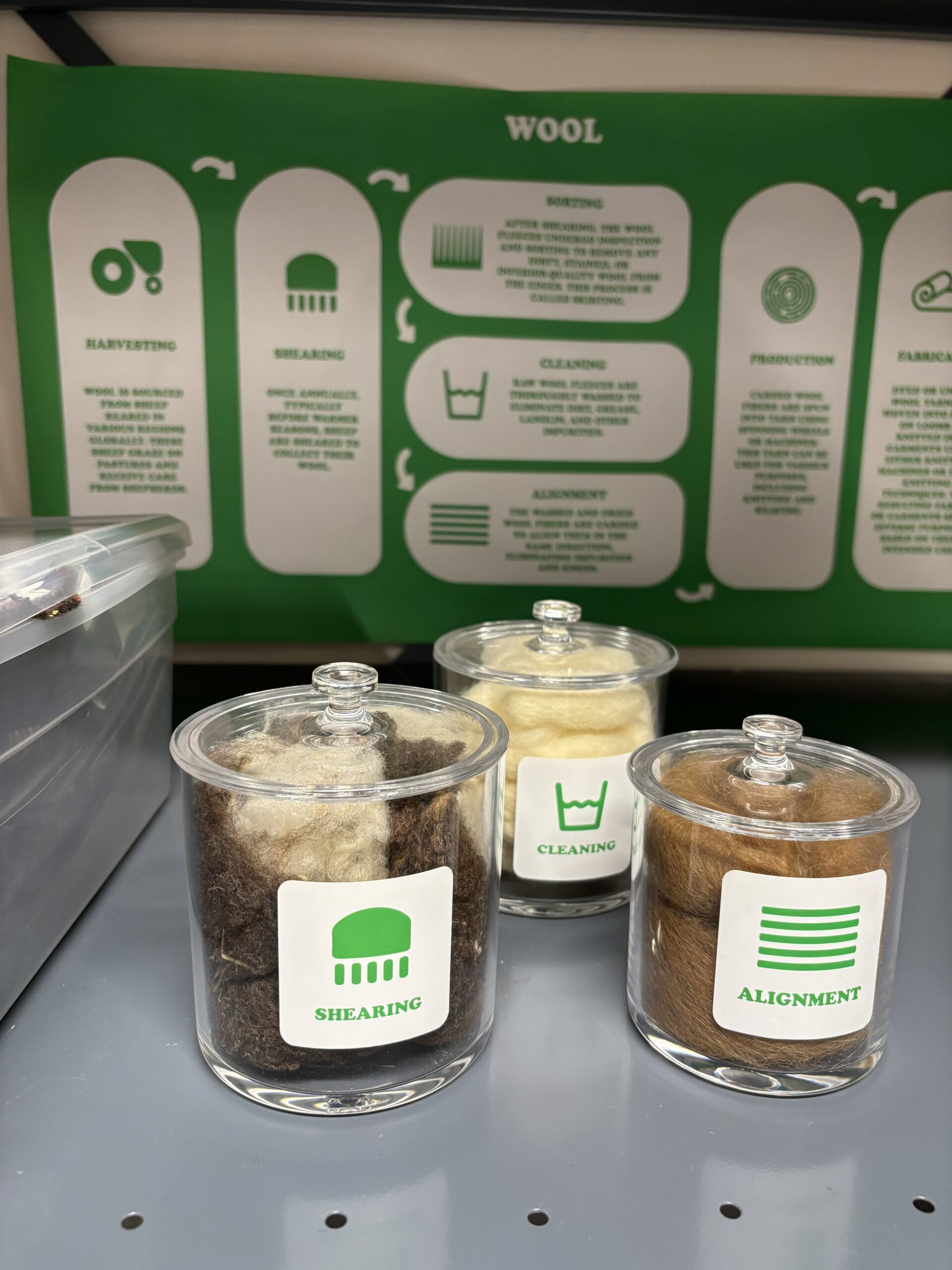 Three glass containers, each labeled with different stages of wool processing: "Shearing," "Cleaning," and "Alignment." The "Shearing" container holds a mix of dark and light wool, the "Cleaning" container holds light-colored wool, and the "Alignment" container holds a tan wool. Behind the containers is a green informational poster outlining the wool processing stages: Harvesting, Shearing, Sorting, Cleaning, Production, and Alignment.