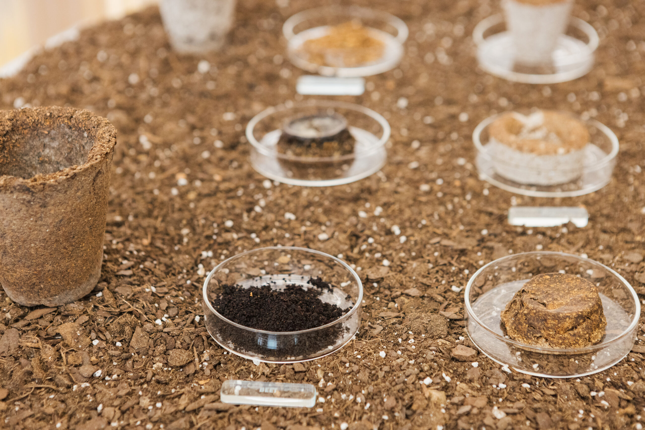 A display of various soil samples on a brown textured surface. There are several transparent dishes containing different types of soil, including dark and light granules. A few small biodegradable pots are visible, with some soil contents exposed. Labels can be seen beside some of the samples. The overall setting appears to be an educational or exhibition space focused on soil composition or environmental themes.