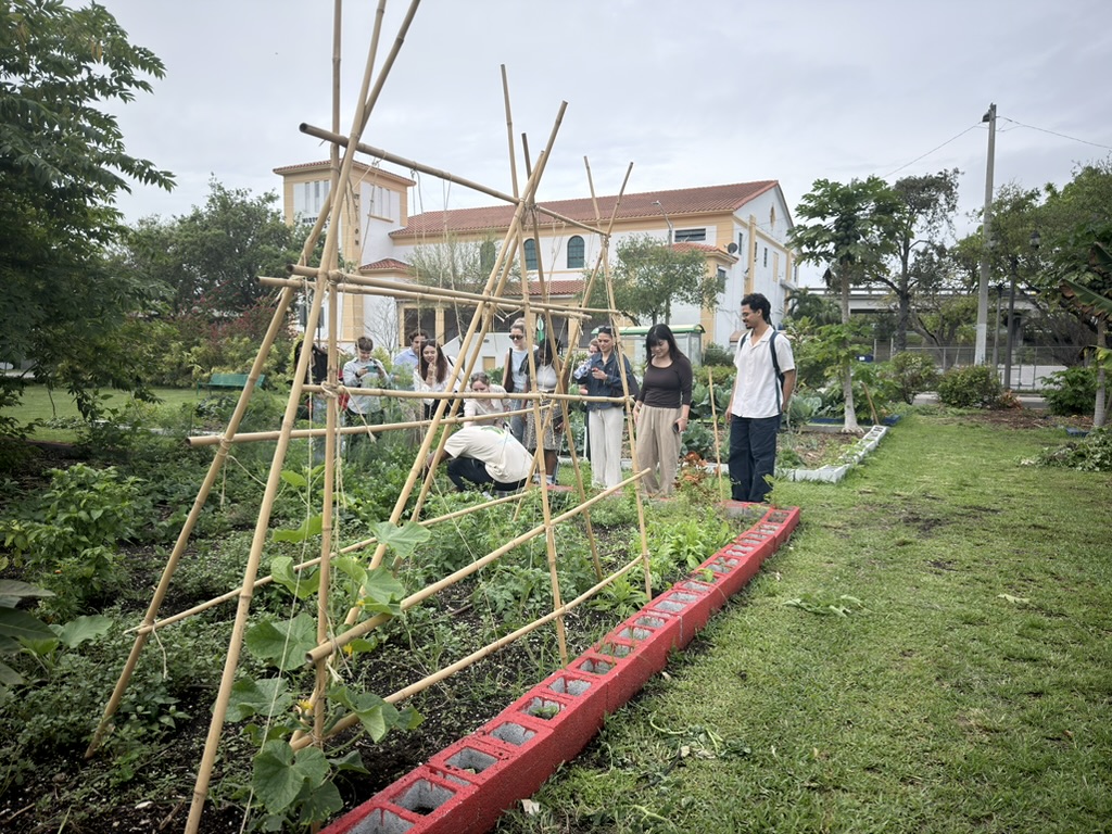 A community garden scene featuring a group of people gathered around a wooden trellis in the garden. Some individuals are tending to plants, while others observe. The garden is lush with various green plants, and a large building can be seen in the background. The sky is overcast, suggesting a cloudy day.