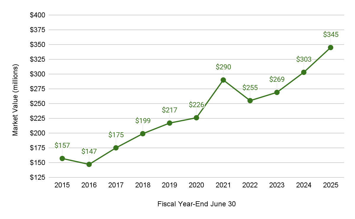 A line graph displaying the market value in millions from 2015 to 2025. The values start at $147 million in 2016, rising to $157 million in 2015, and show a general upward trend with notable increases in 2021 ($290 million) and 2025 ($345 million), despite a small dip in 2021. Data points and years are clearly marked on the graph.