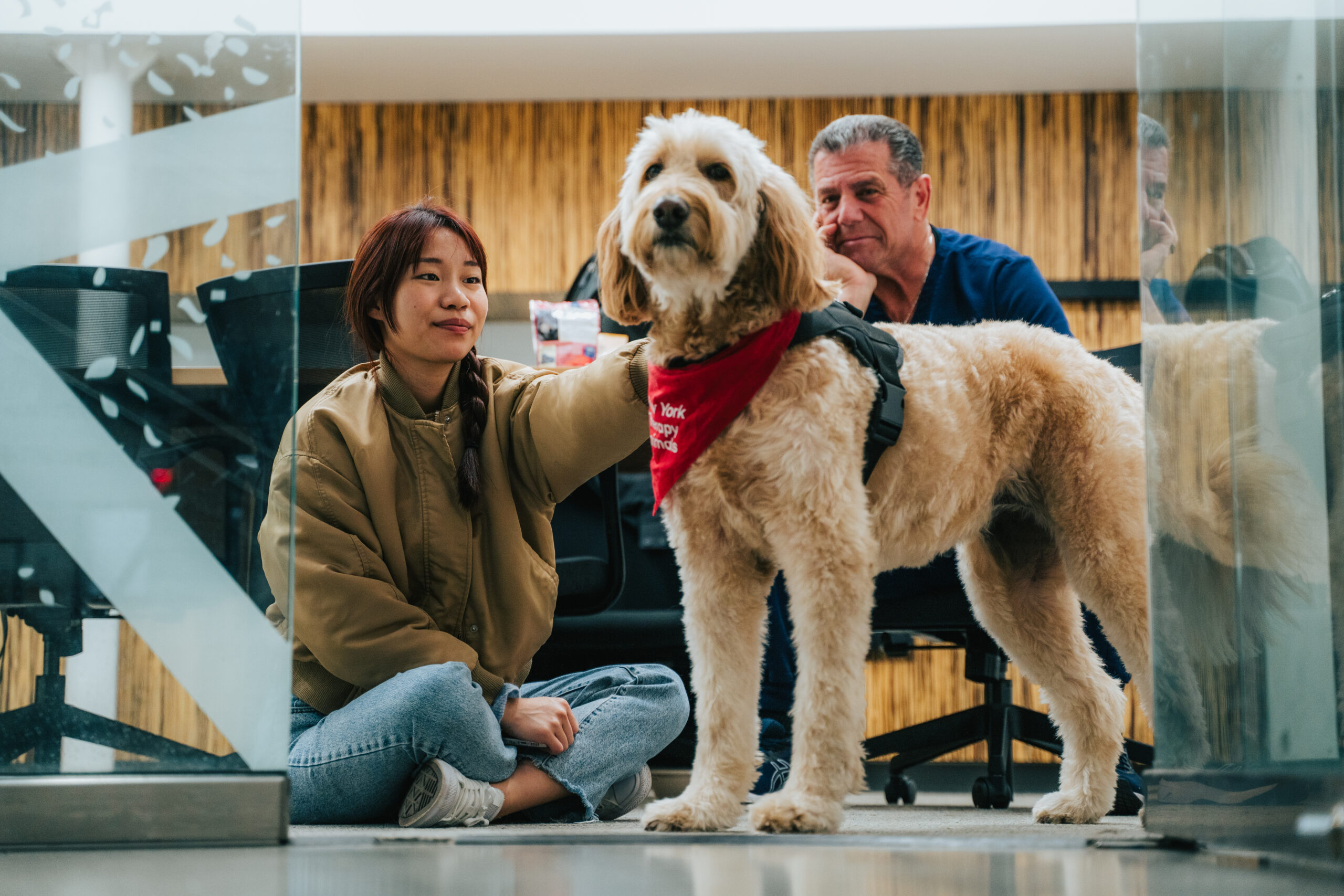 A medium sized, curly haired dog is standing in an open doorway. A student sits on the ground petting the dog. The dog's handler sits on a chair behind the dog and student.