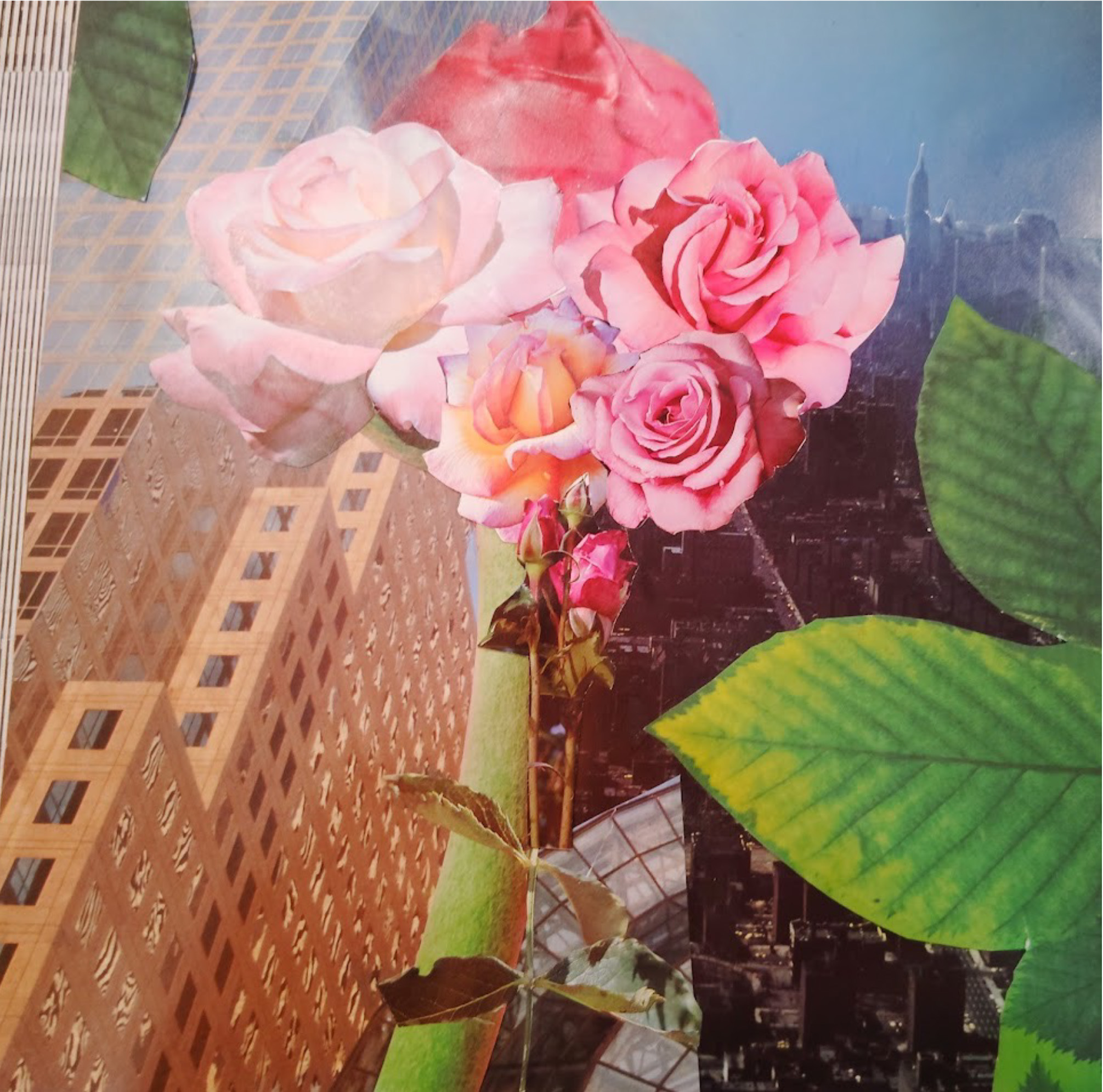 A collage featuring vibrant, multi-colored roses, including pink and peach hues, against a backdrop of skyscrapers and city architecture. The image blends floral elements with urban scenery, showcasing leaves and rosebuds, creating a juxtaposition of nature and city life.