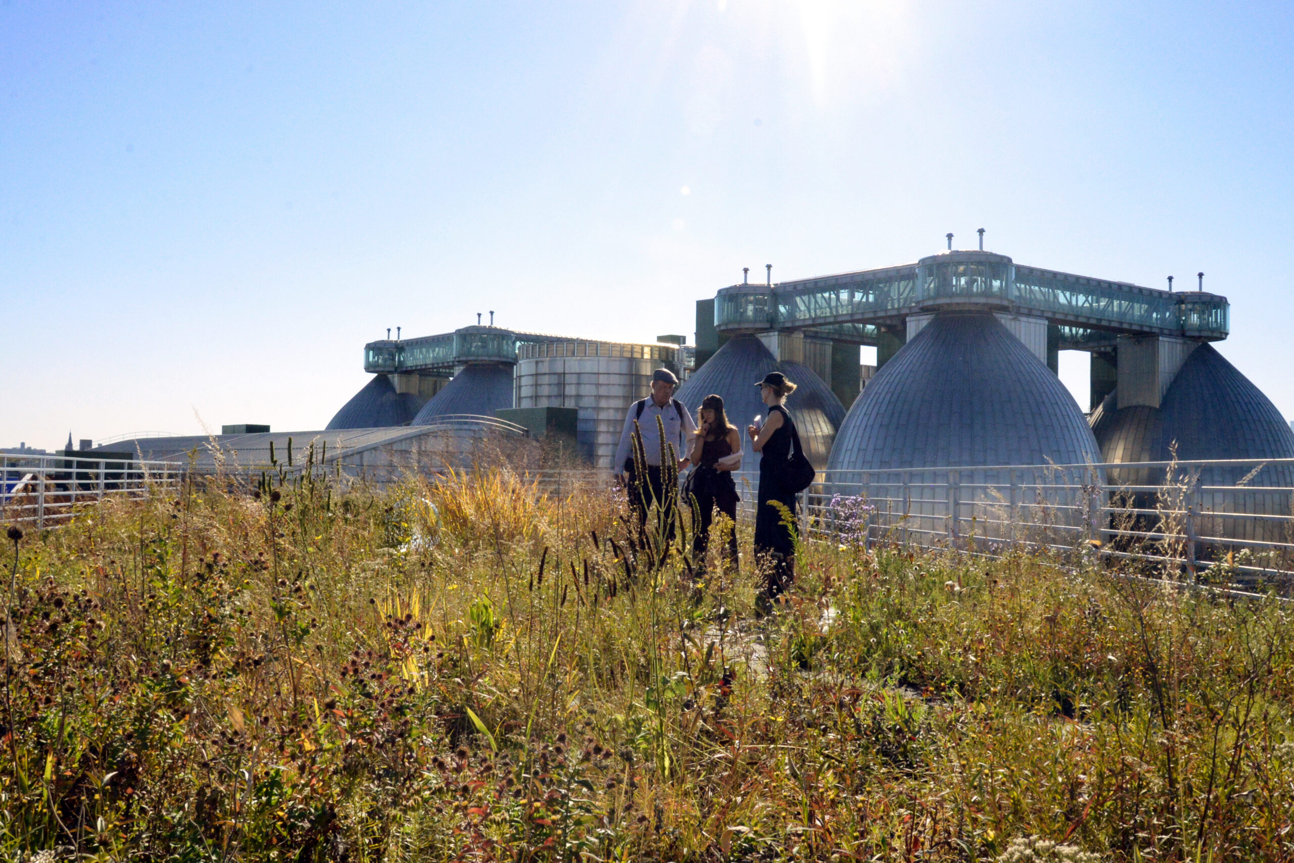 Three people are standing in a grassy area with diverse plants, engaged in conversation. In the background, large, modern structures with rounded domes are visible under a clear blue sky. The scene is illuminated by bright sunlight.