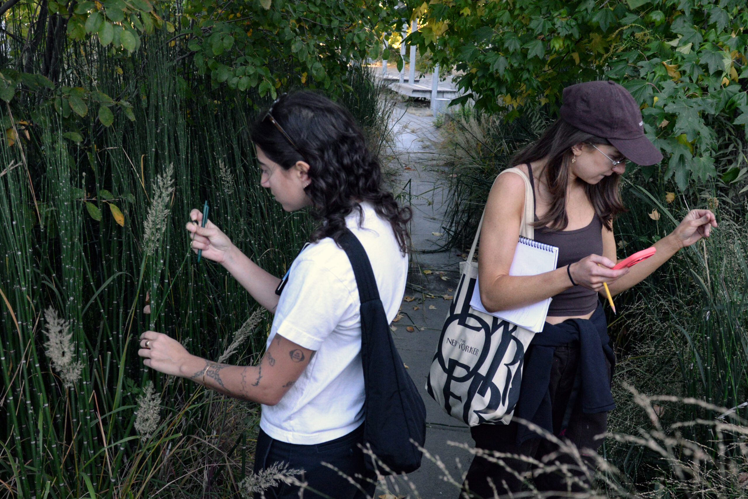 Two individuals are engaged in an outdoor activity surrounded by tall grass and greenery. One person on the left, wearing a white shirt, holds a long piece of grass while using a pen to take notes. The other person on the right, dressed in a brown tank top and wearing a cap, looks at a smartphone while holding a pencil and a notebook. A pathway is visible in the background.