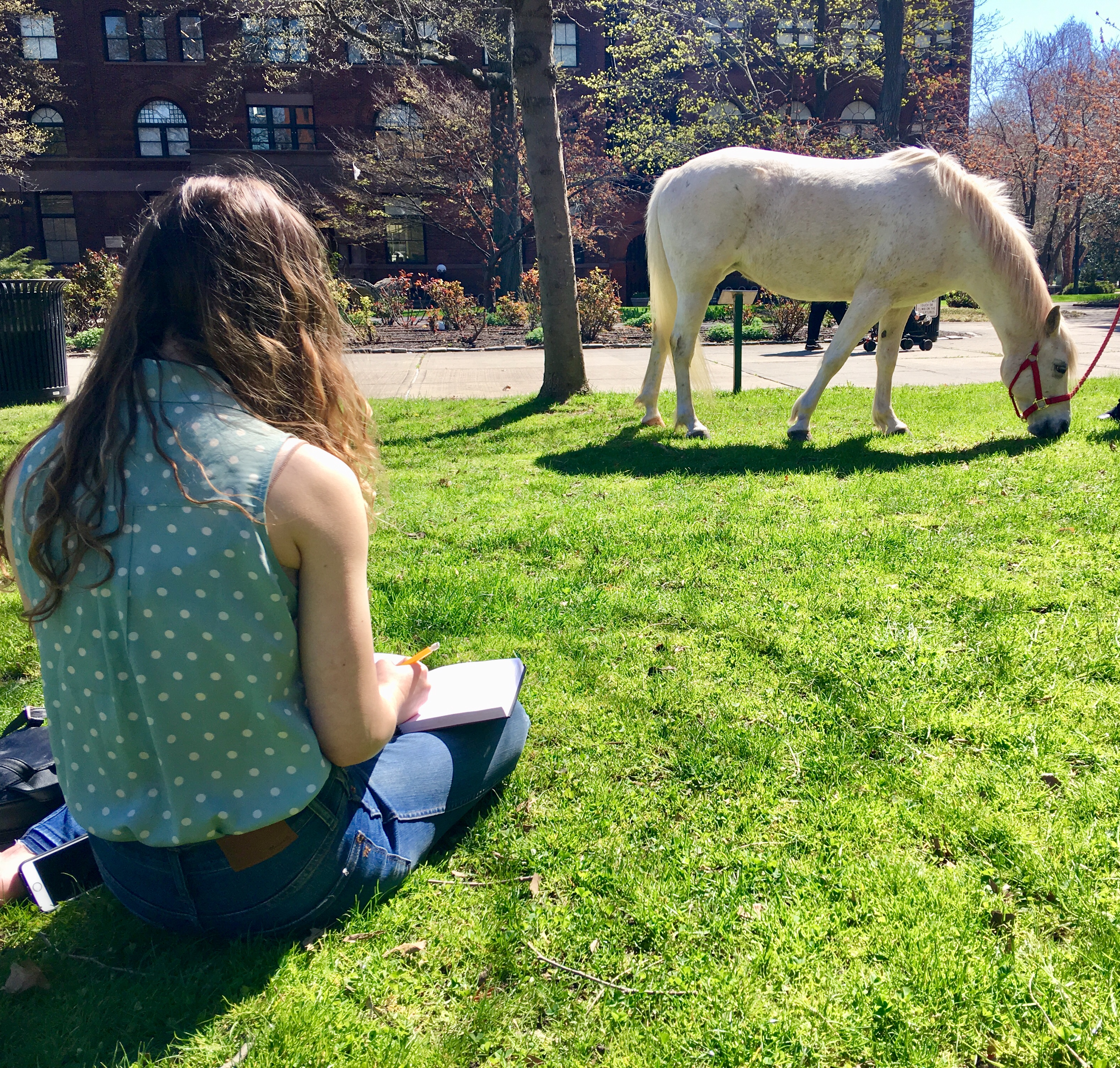 Students drawing horses on campus