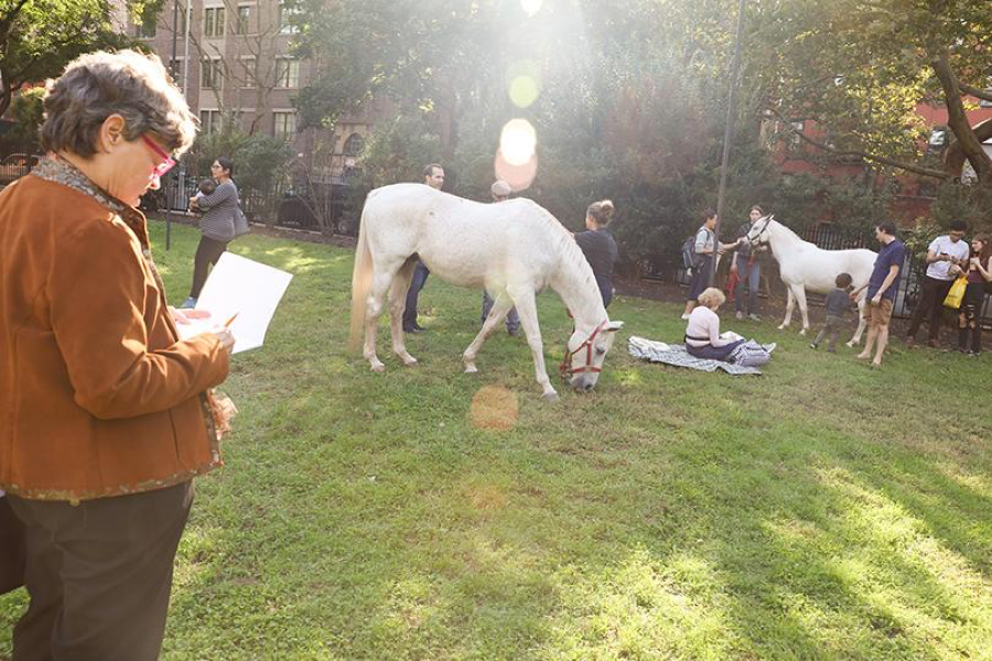 Horses on campus