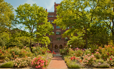 Rose Garden_Aug 12