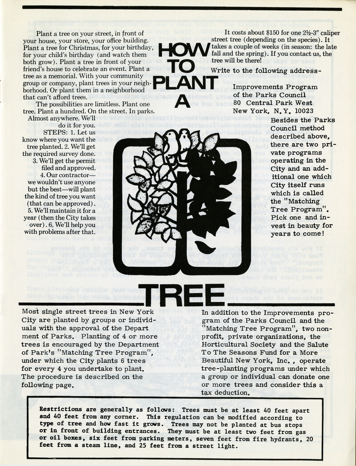 How to Plant A Tree (1970s) (Ronald Shiffman collection on the Pratt Center for Community Development, 2013.023, Box 70, Folder 23; Brooklyn Historical Society)