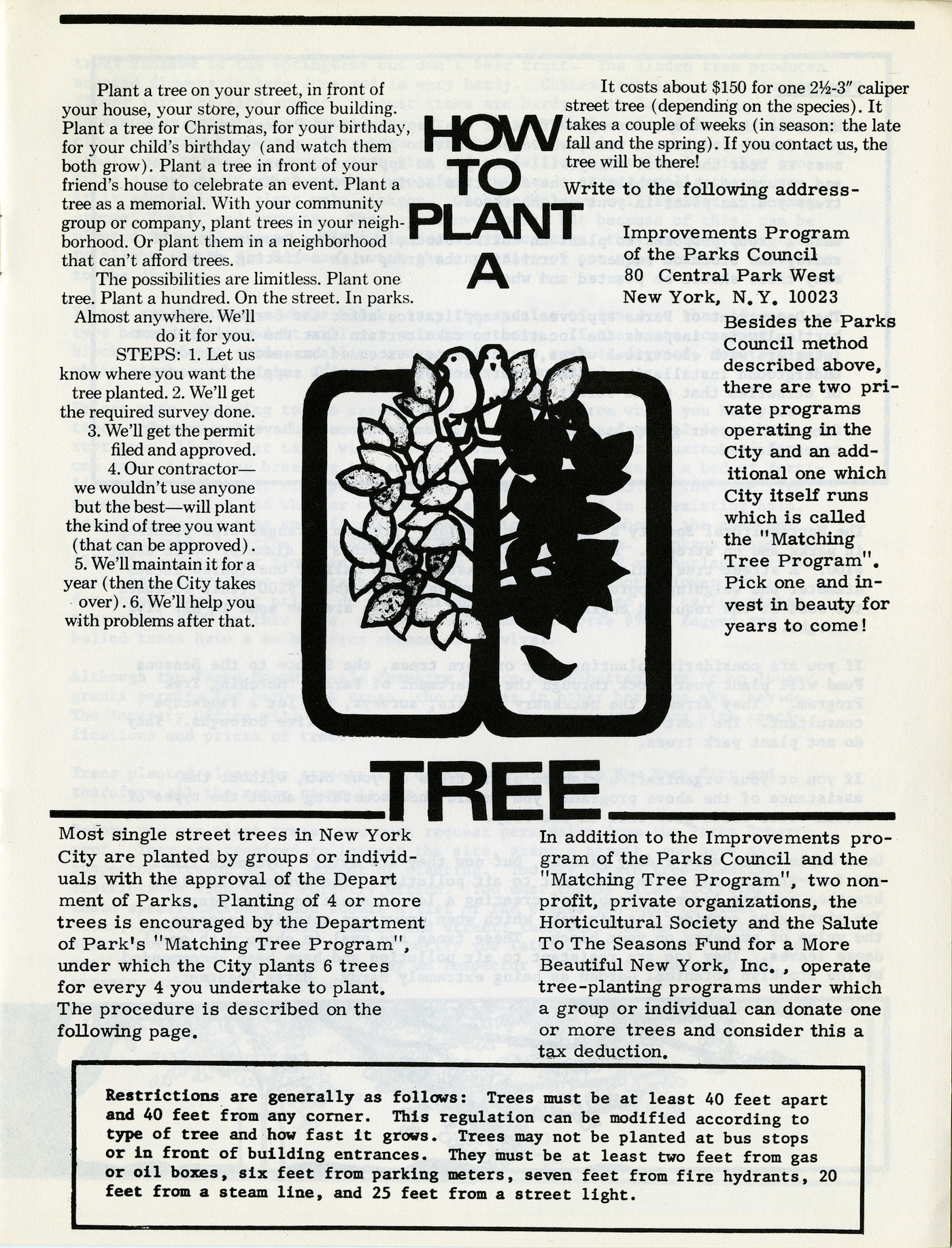 How to Plant A Tree (1970s) (Ronald Shiffman collection on the Pratt Center for Community Development, 2013.023, Box 70, Folder 23; Brooklyn Historical Society)