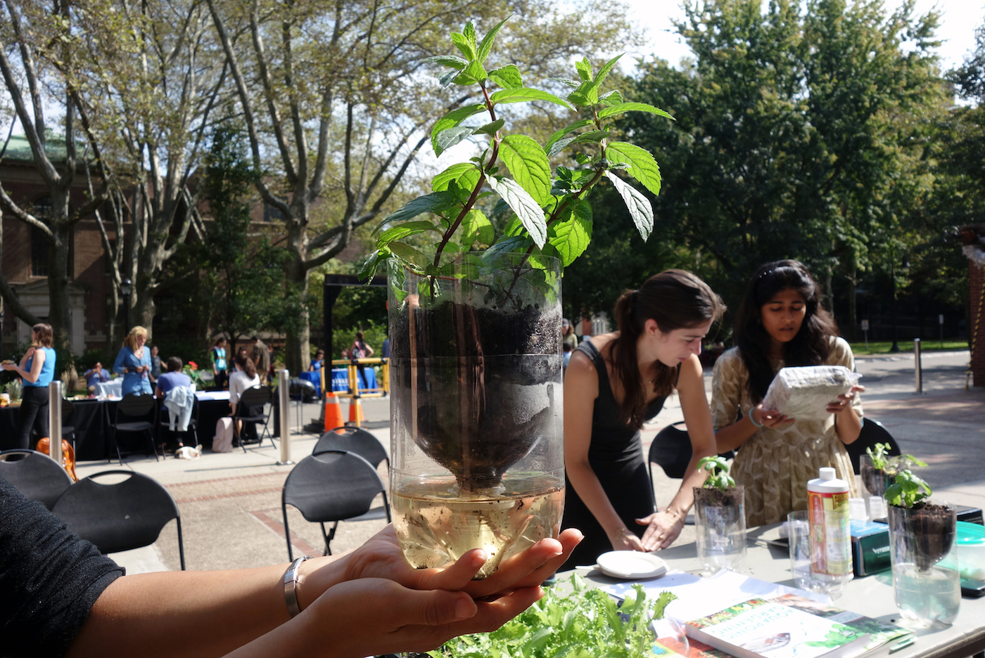 Hydroponic plant project at the 2019 Blue Week Water Expo