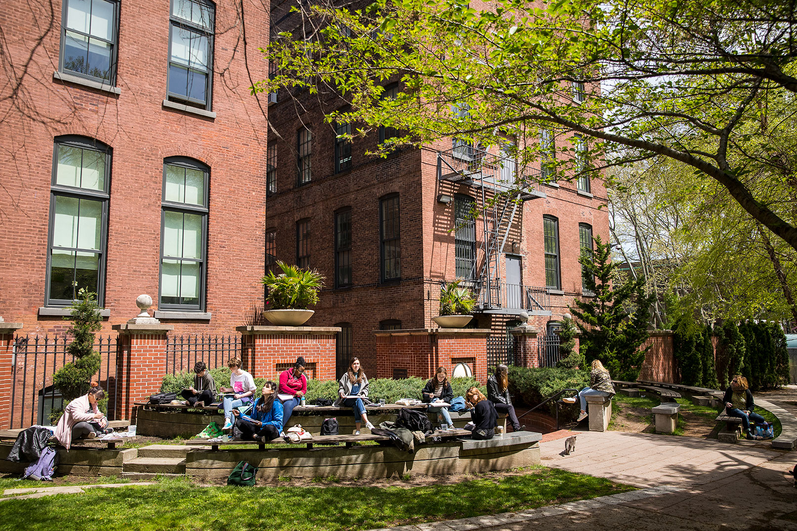 A photograph of students sketching outside on Pratt campus.