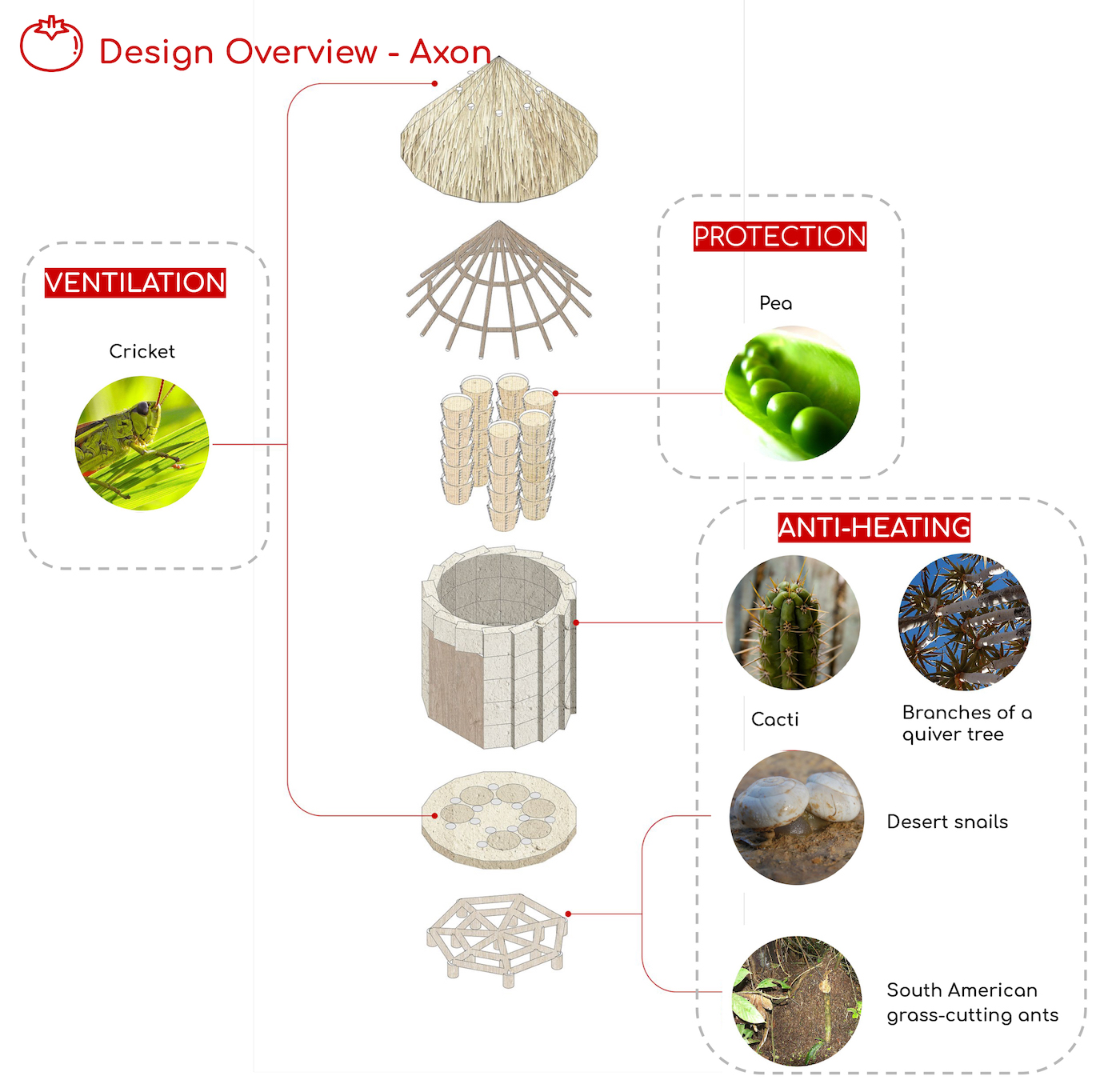 Design overview of Tomato's Home