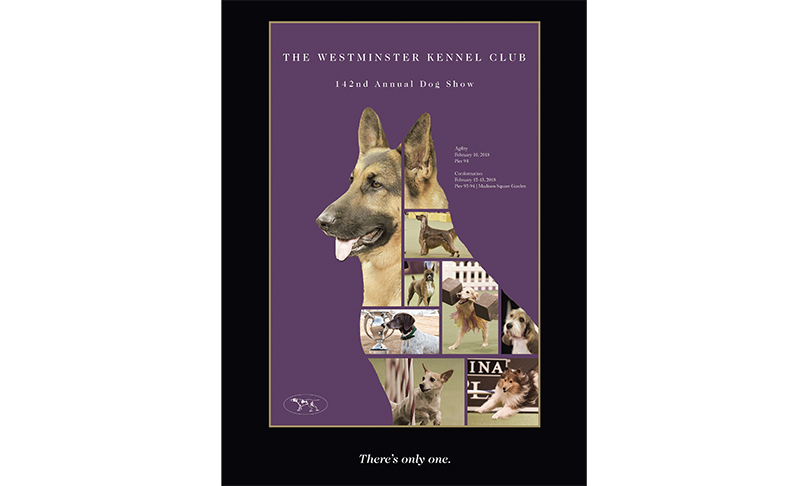 Westminster Kennel Club Dog Show 2025 Tickets Image
